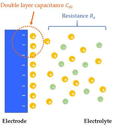 Study on Interaction Between TATA-Box Binding Protein (TBP), TATA-Box and Multiprotein Bridging Factor 1(MBF1) in Beauveria bassiana by Graphene-Based Electrochemical Biosensors